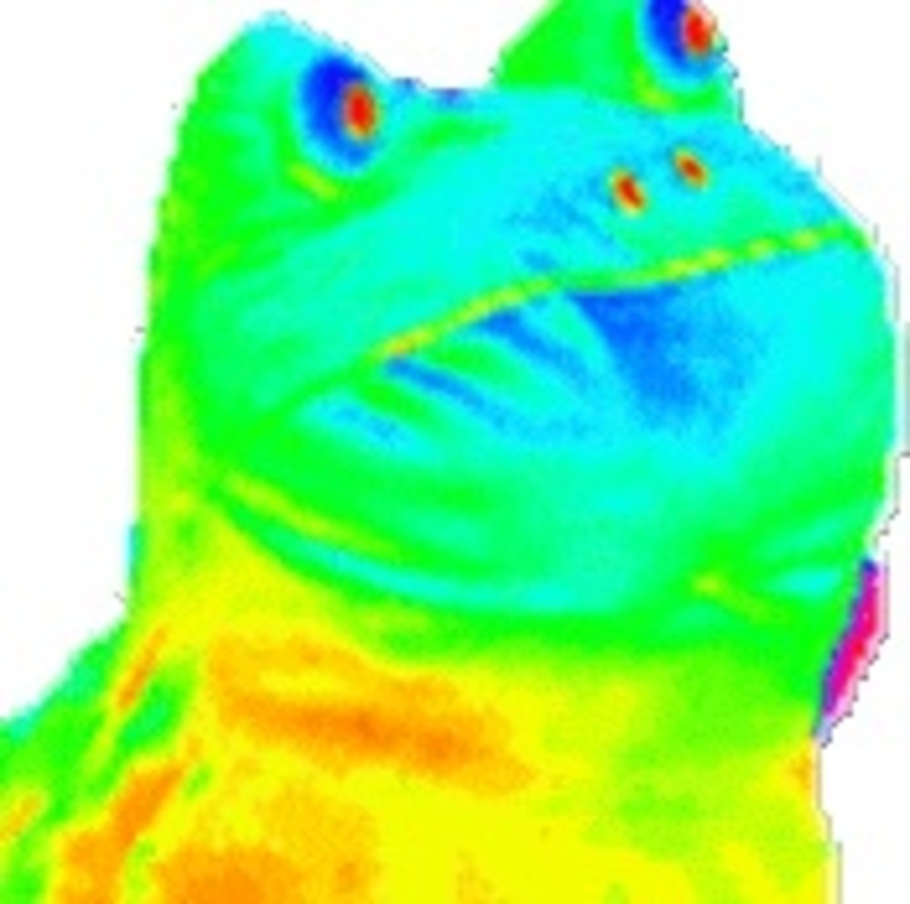 Meet your Posher, Gabriel